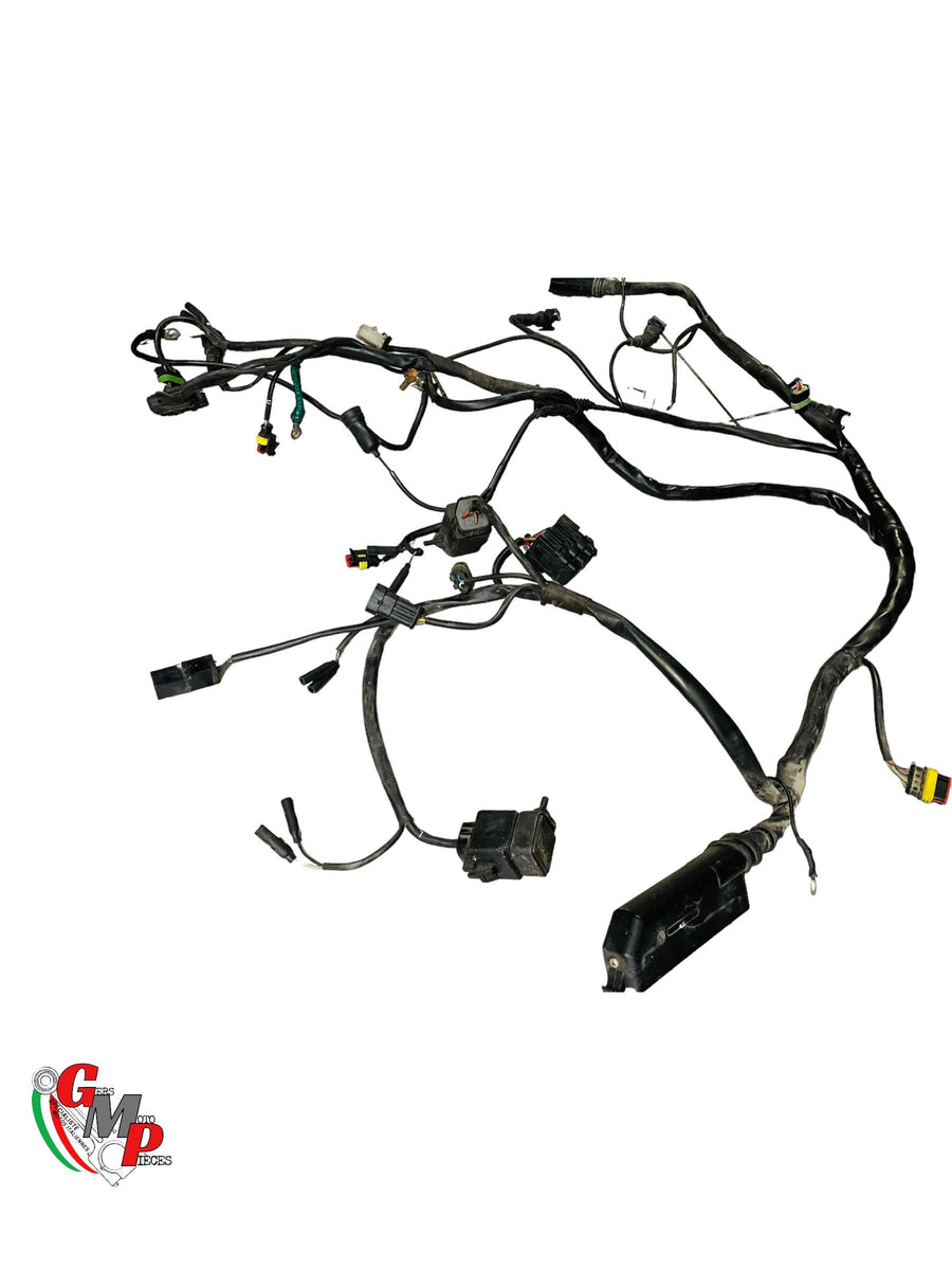 Arnés de cableado principal - Ducati