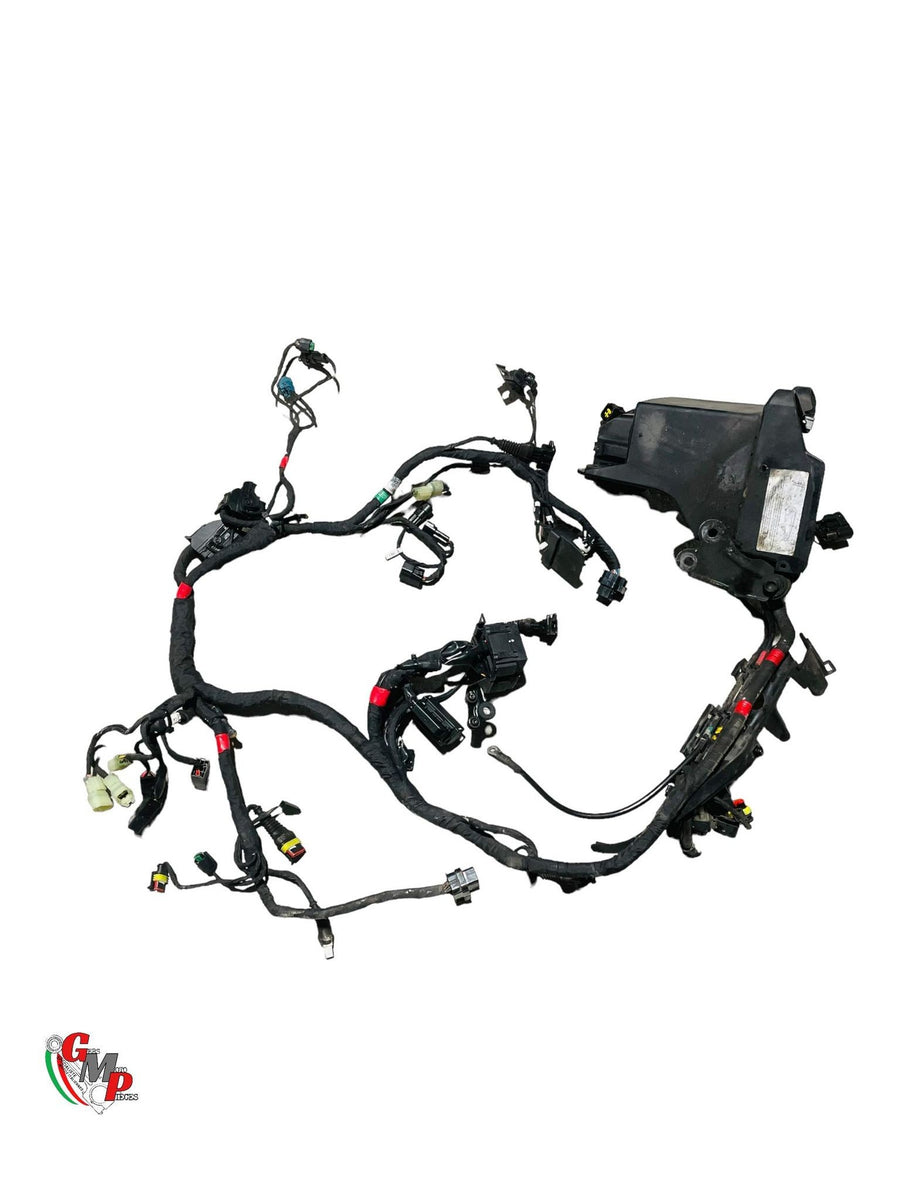 Arnés de cableado principal - Ducati