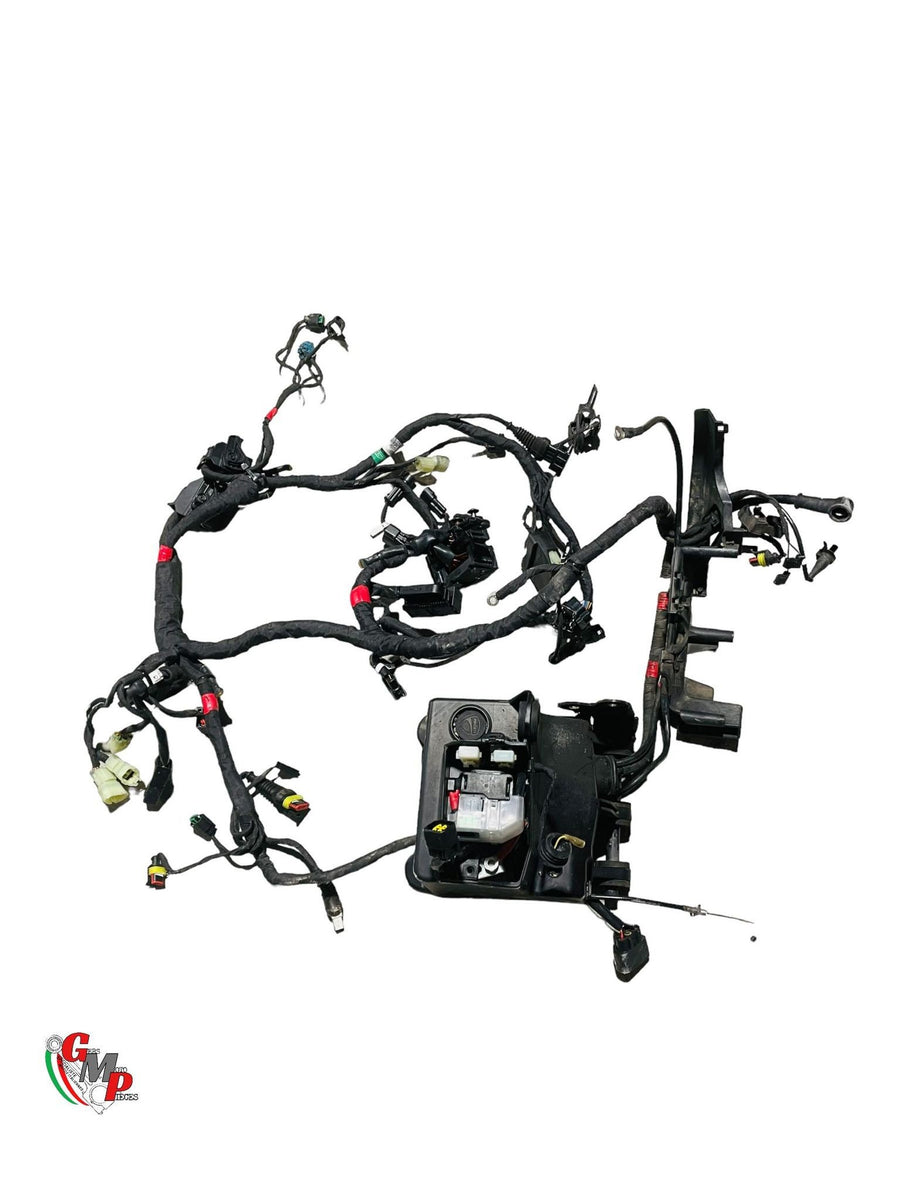 Arnés de cableado principal - Ducati