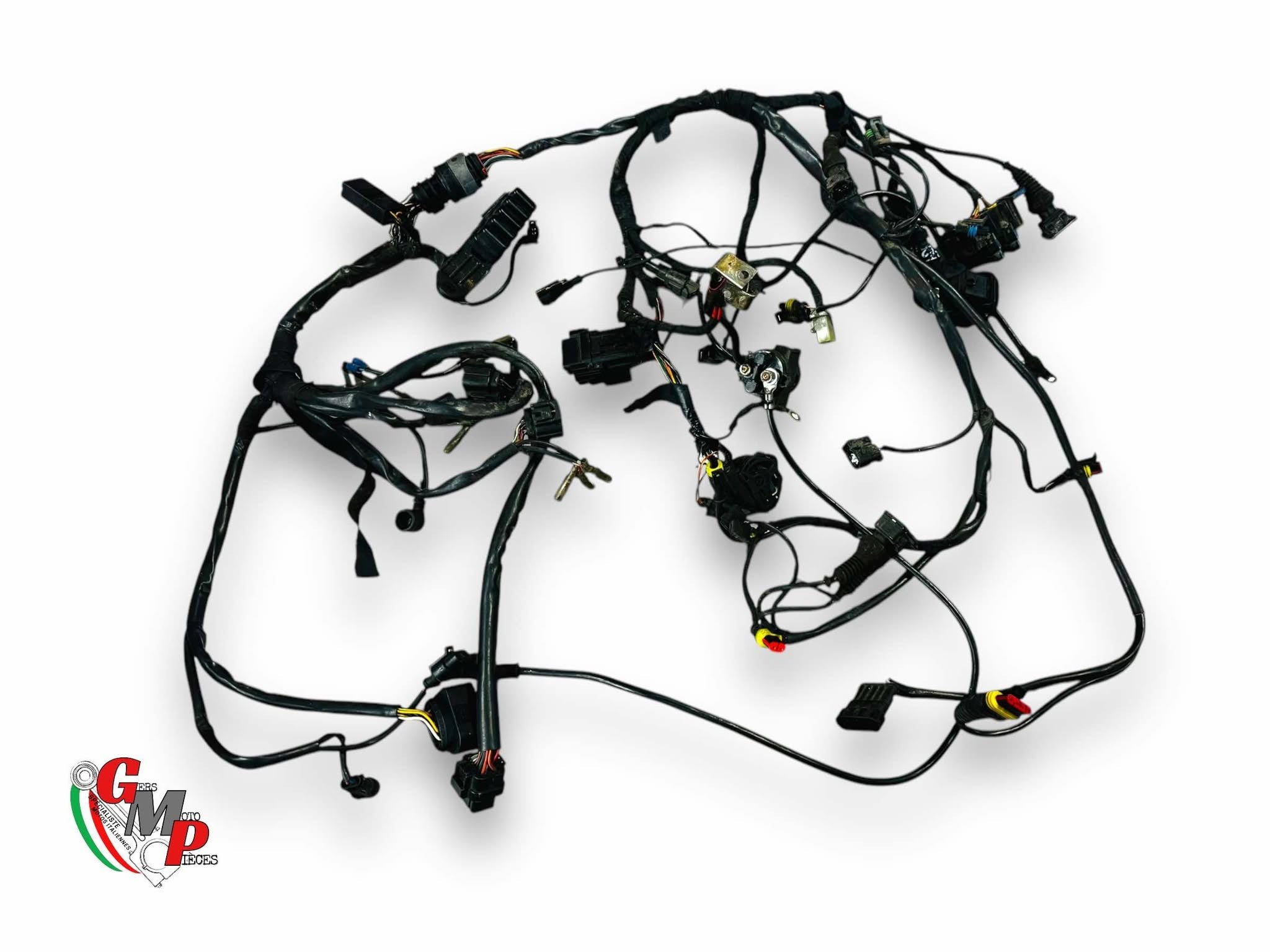 Arnés de cableado principal - Ducati