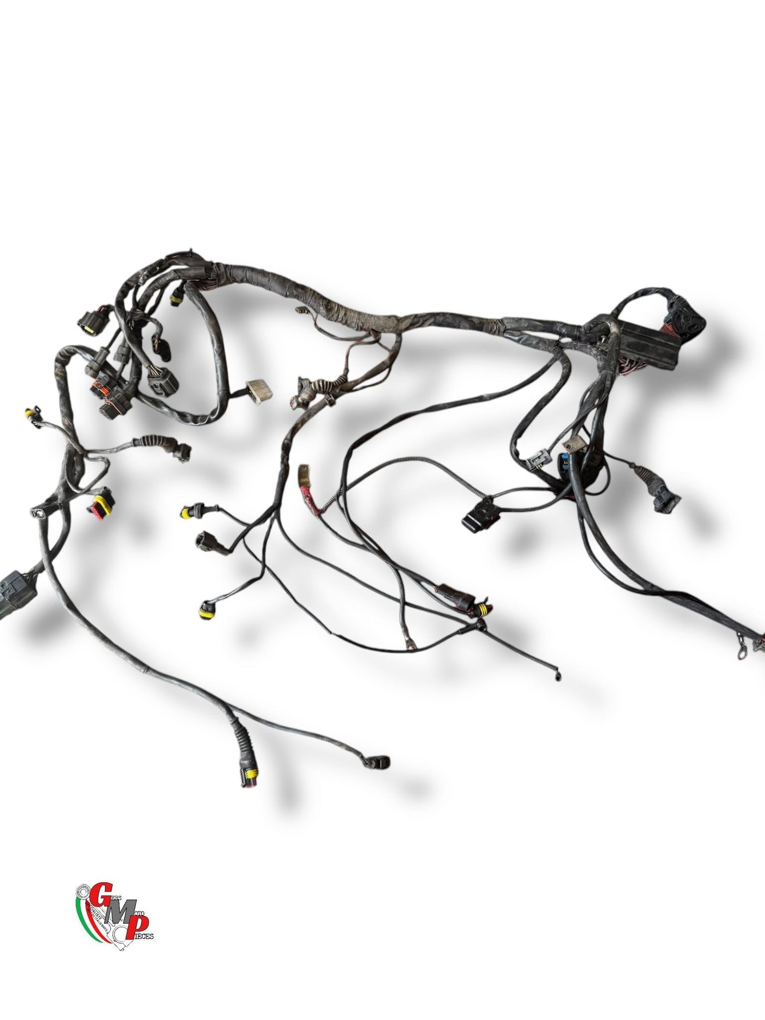 Arnés de cableado principal - Ducati