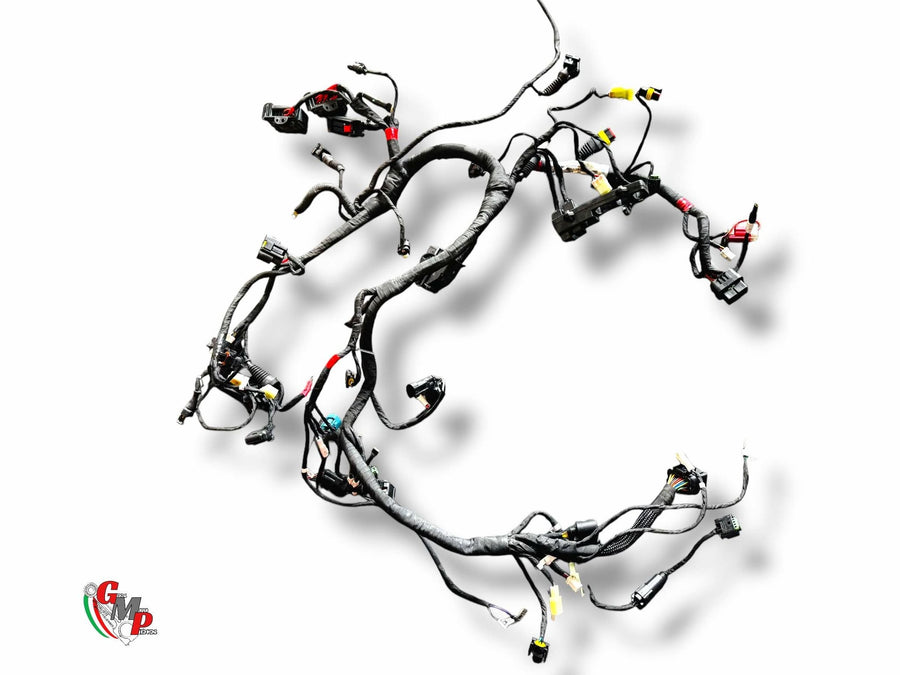 Arnés de cableado principal - Ducati