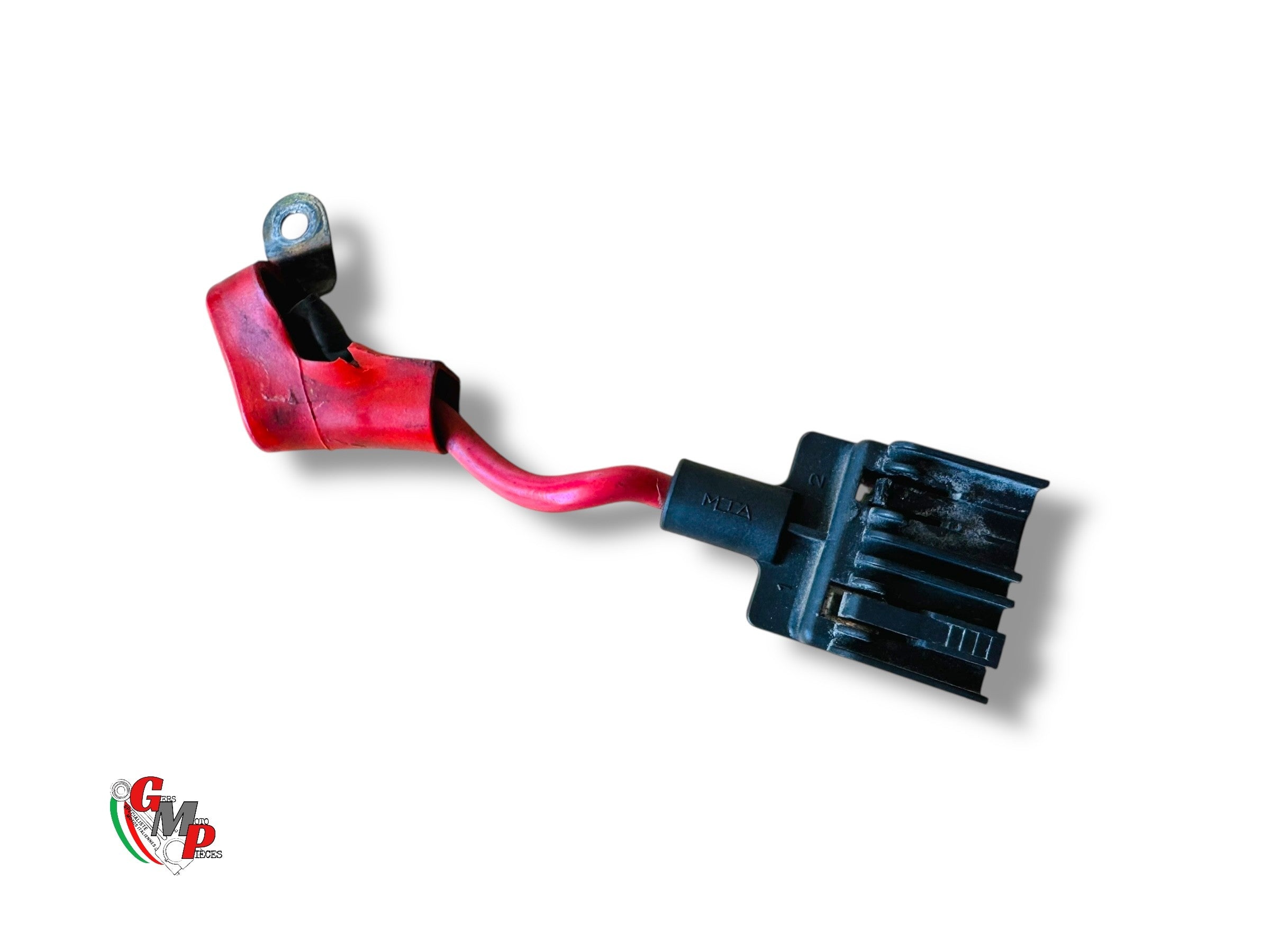 Conector y arnés electrónico con terminal positivo - Ducati