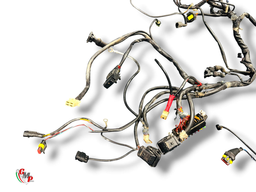 Cableado eléctrico - Ducati