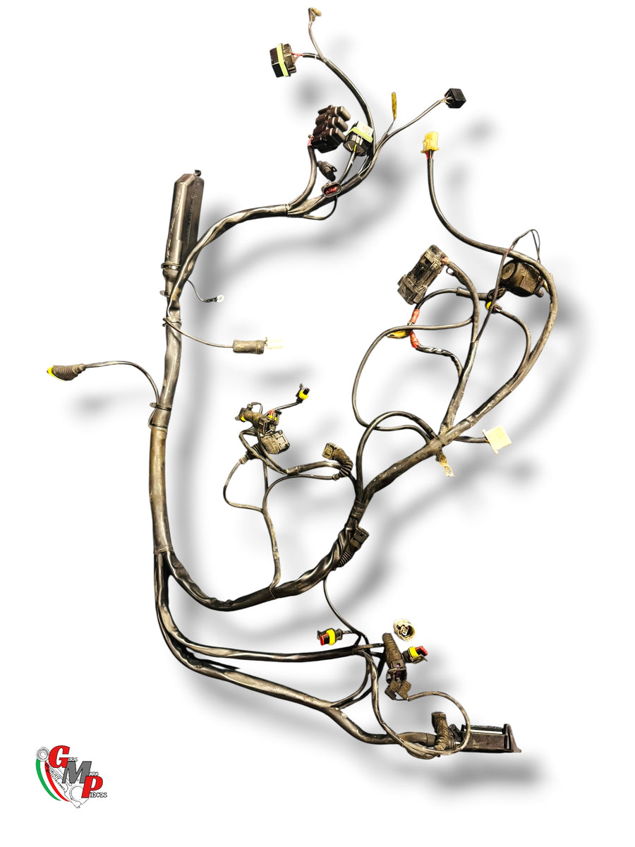 Cableado principal - Ducati