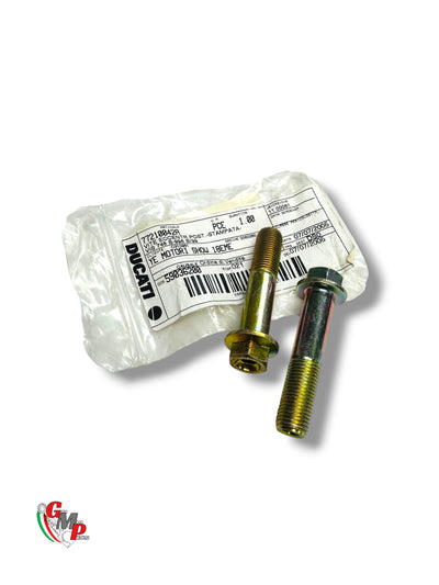 Tornillo de sujeción excéntrico monobrazo bicromado NUEVO - Ducati