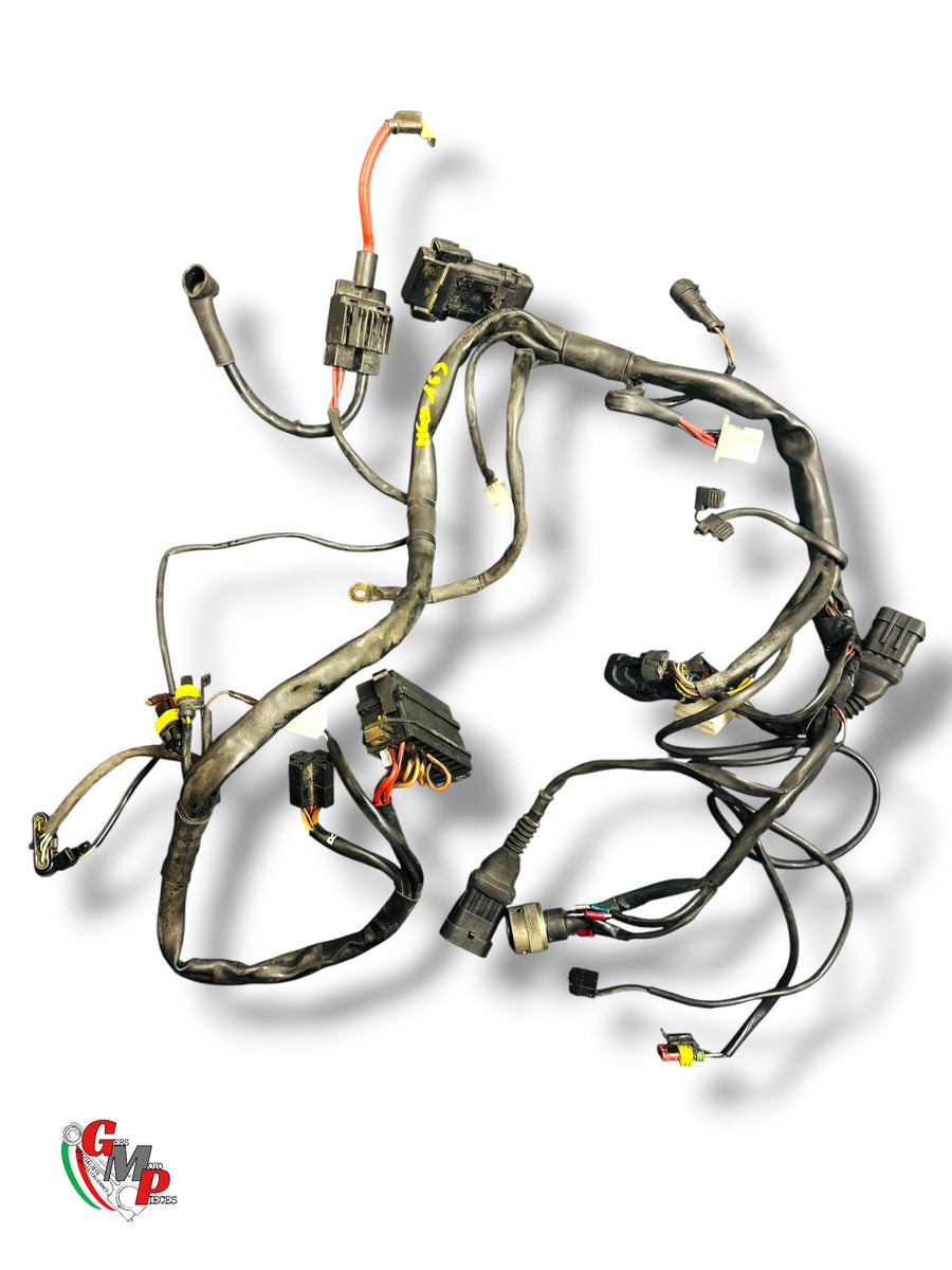 Arnés de cableado - Ducati