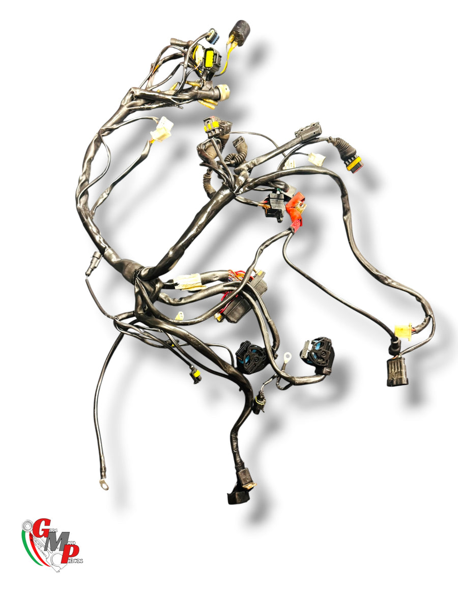 Mazo de cables - Ducati