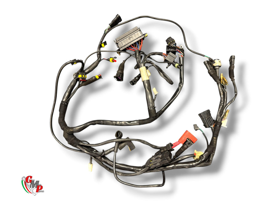 Arnés eléctrico - Ducati