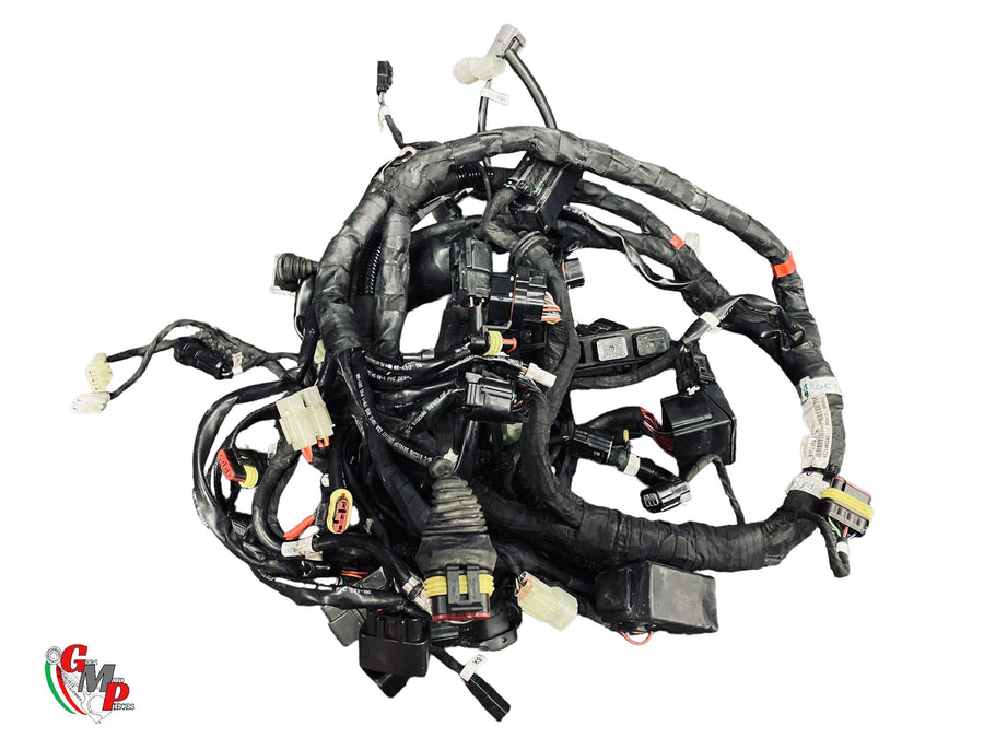 Arnés de cableado principal - Ducati