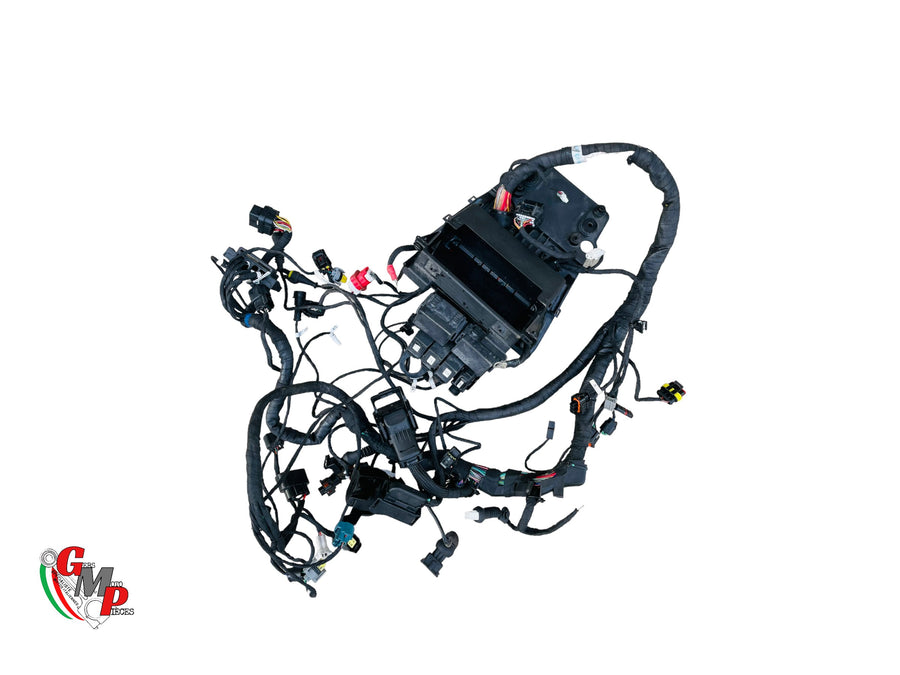 Arnés de cableado principal completo - Ducati