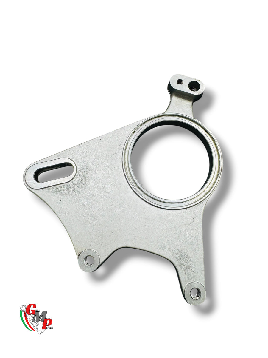 Placa Pinza de Freno ABS - Ducati