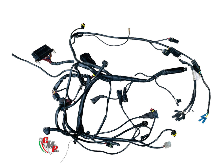 Arnés de cableado principal - Ducati