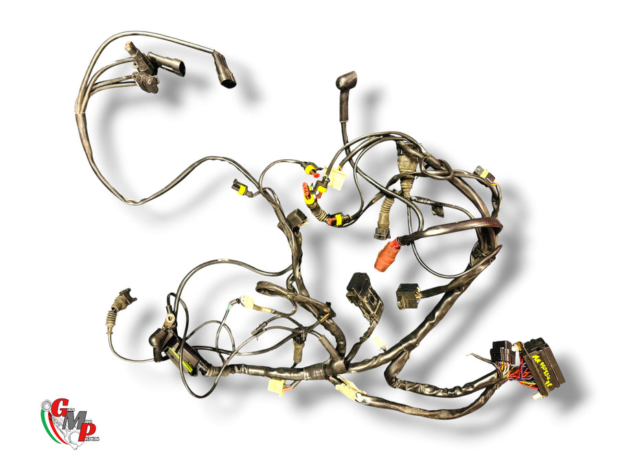 Mazo de cables principal - Ducati