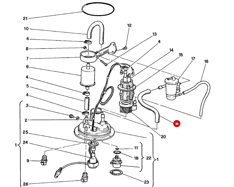 Manguera de gasolina NUEVA - Ducati