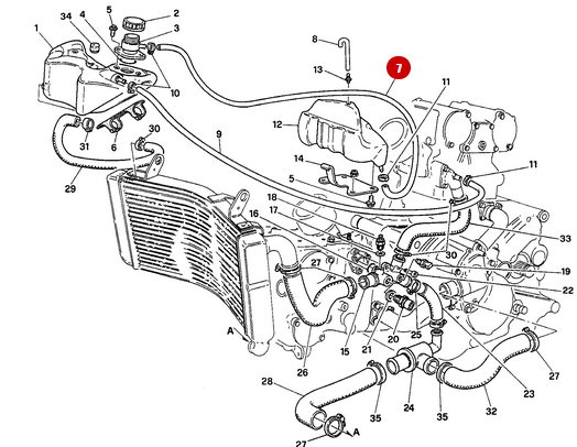 Manguera Conector Respiradero - Ducati
