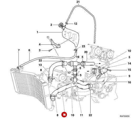 NUEVA Manguera de Radiador - Ducati