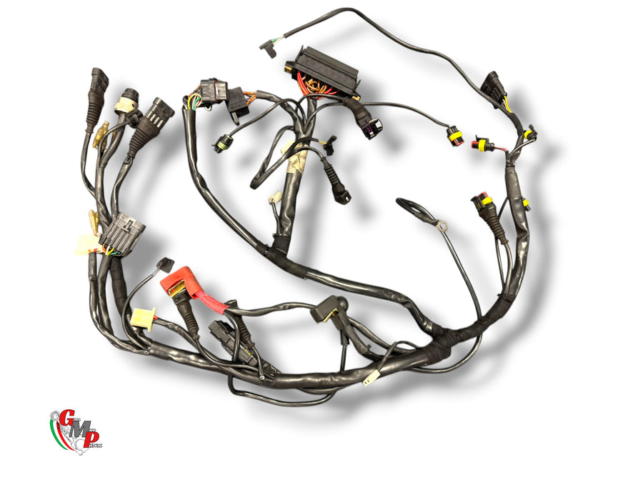 Arnés eléctrico - Ducati
