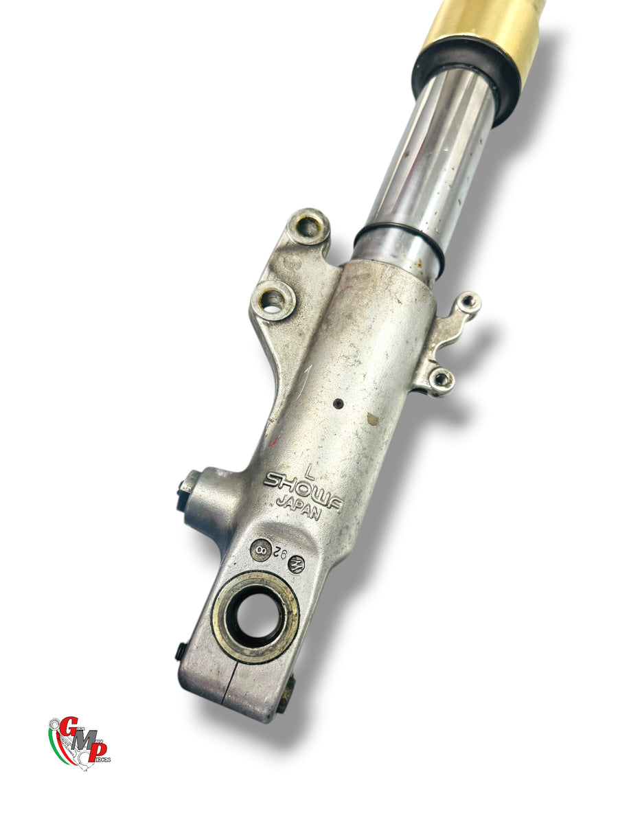 Horquilla completa izquierda - Ducati