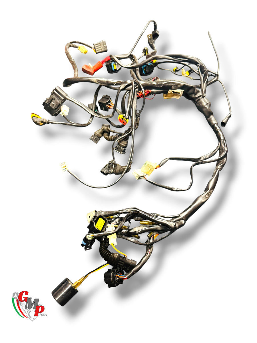 Mazo de cables - Ducati