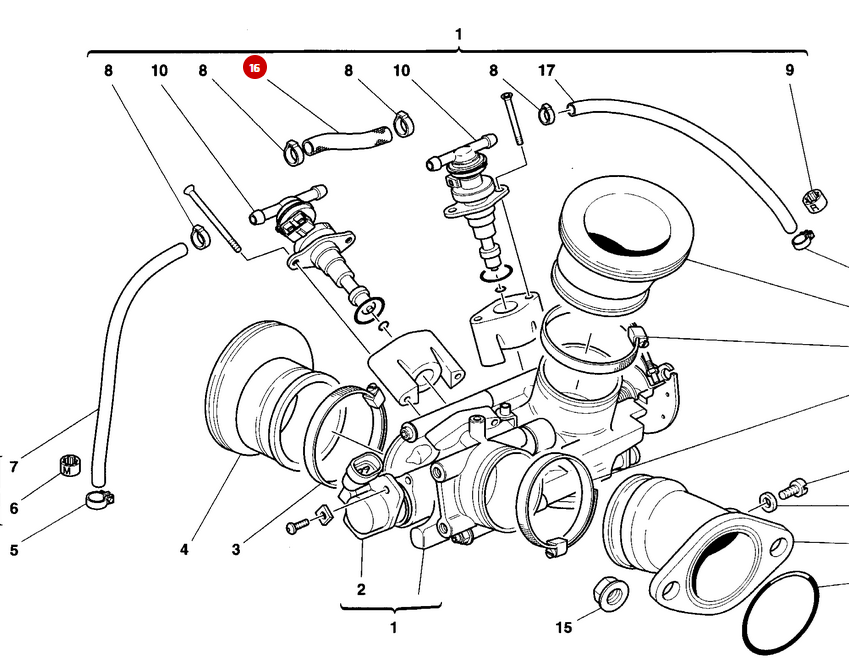 Manguera de gasolina NUEVA - Ducati