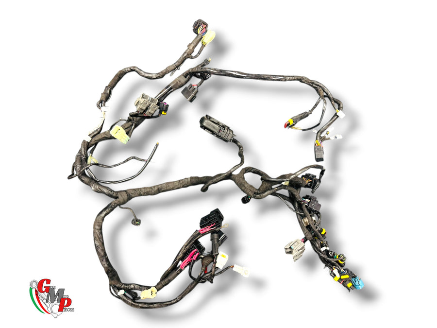 Mazo de Cables Principal Completo - Ducati