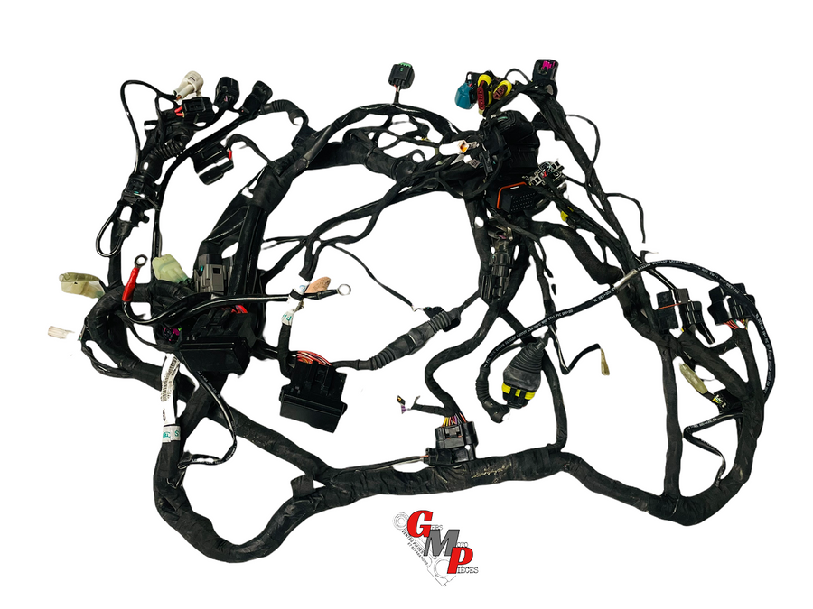Arnés eléctrico - Ducati
