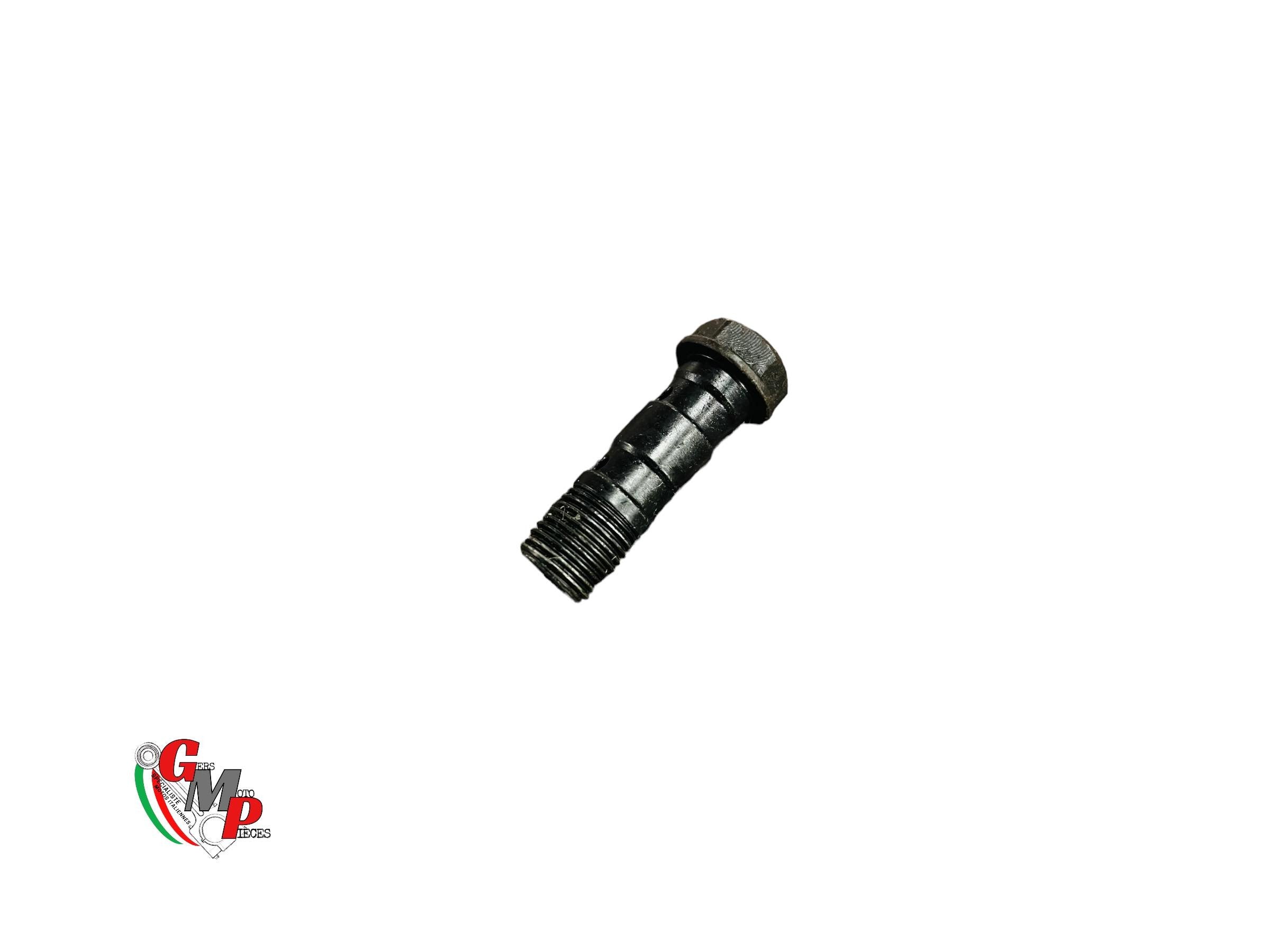Tornillo banjo para 2 mangueras - Ducati