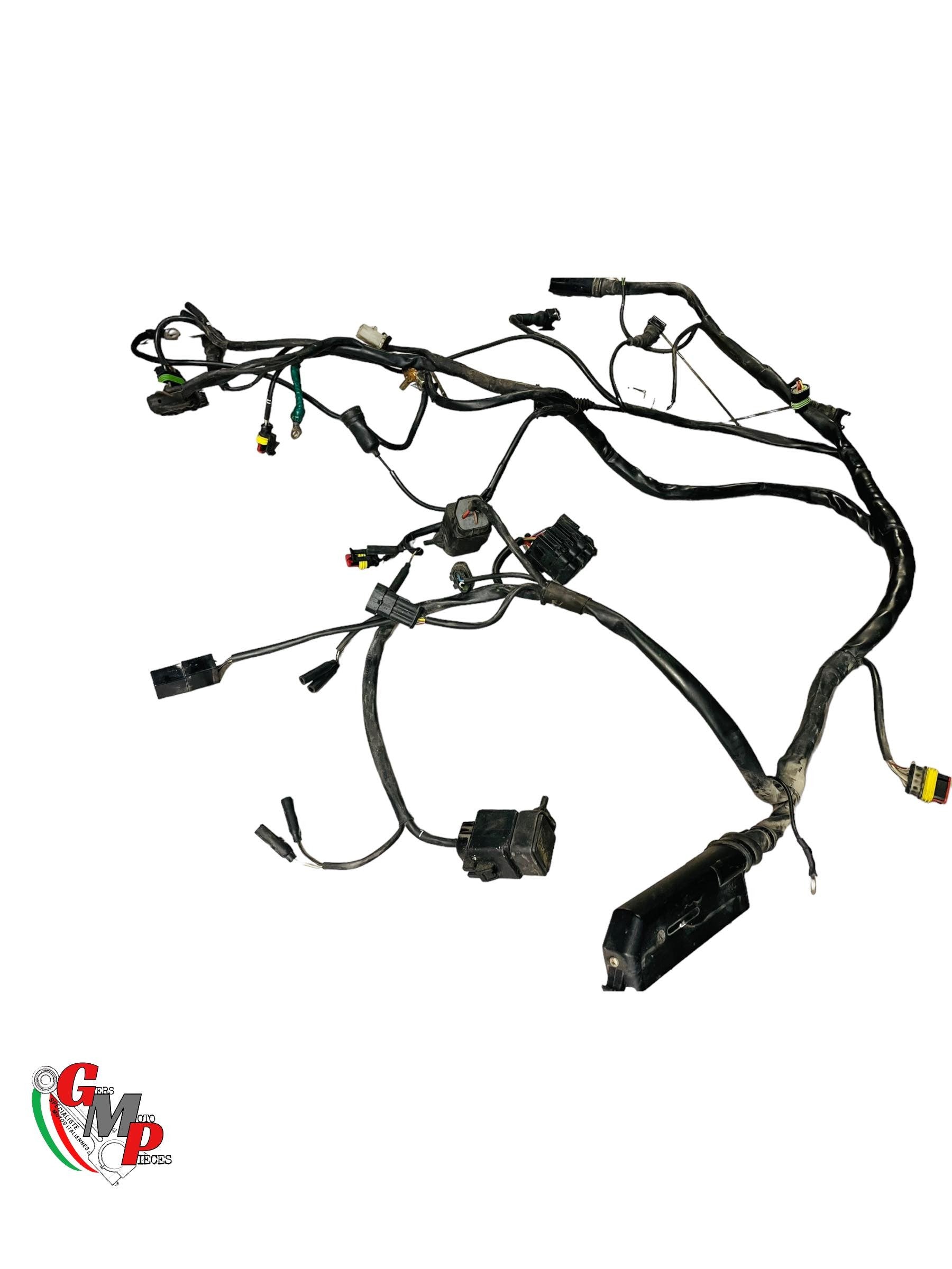 Arnés de cableado principal - Ducati