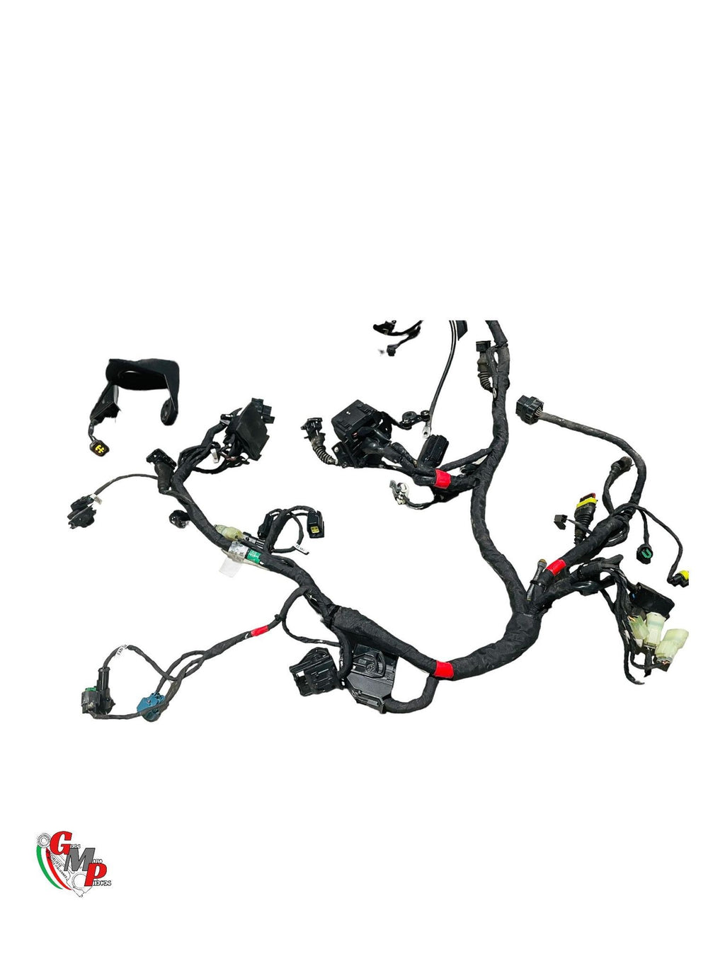 Arnés de cableado principal - Ducati