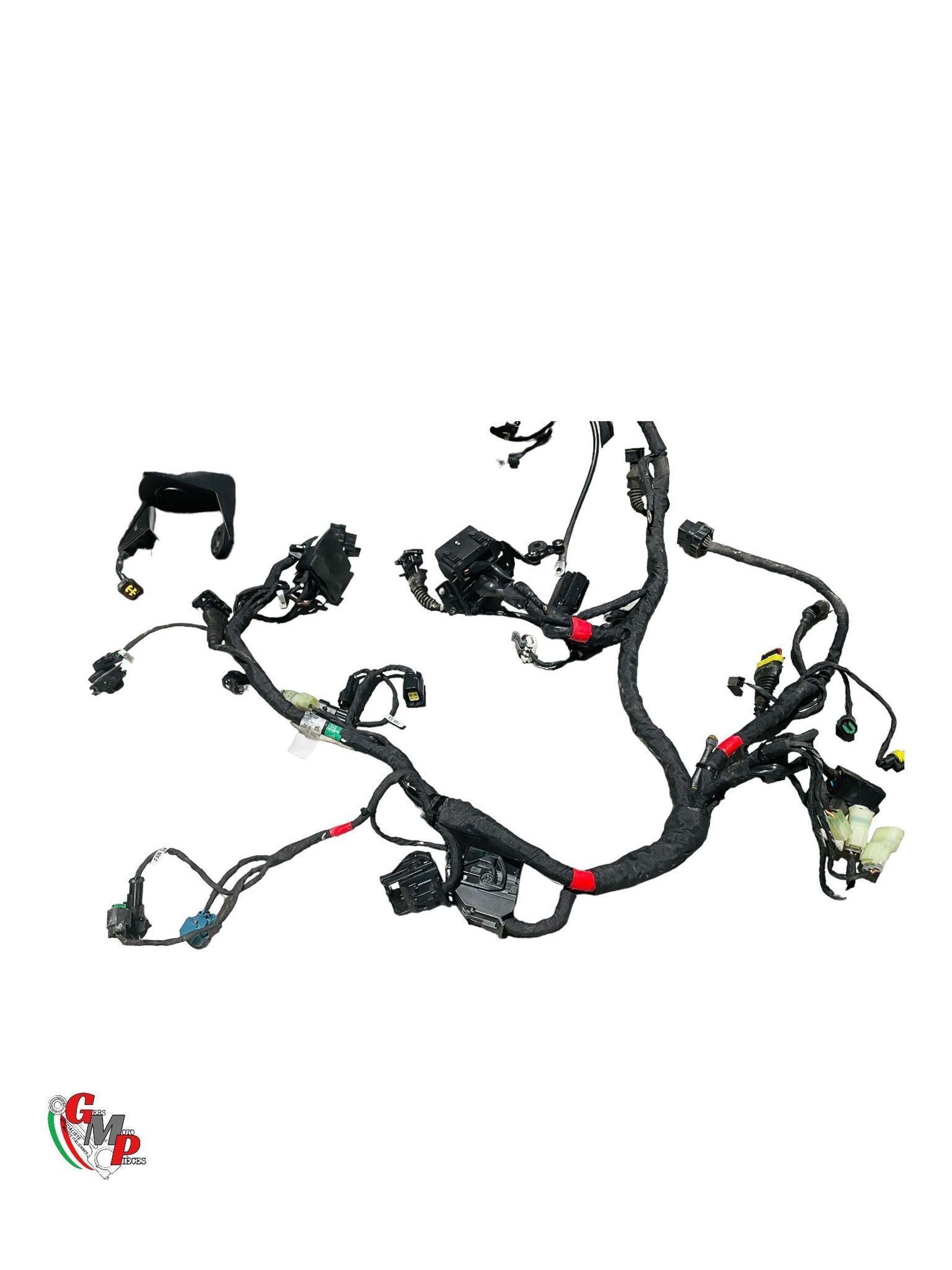 Arnés de cableado principal - Ducati