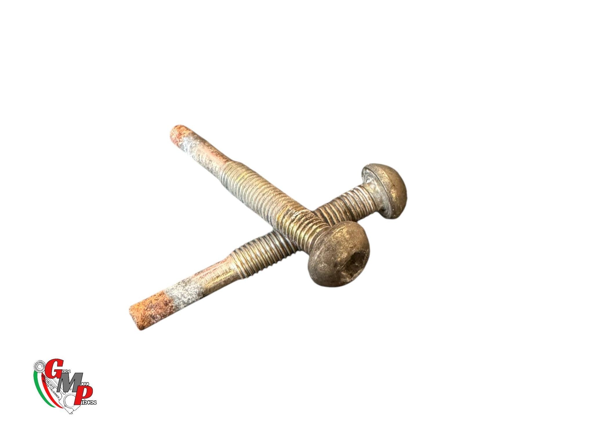 Tornillo de soporte del velocímetro - Ducati