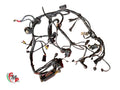 Arnés de cableado completo - Ducati