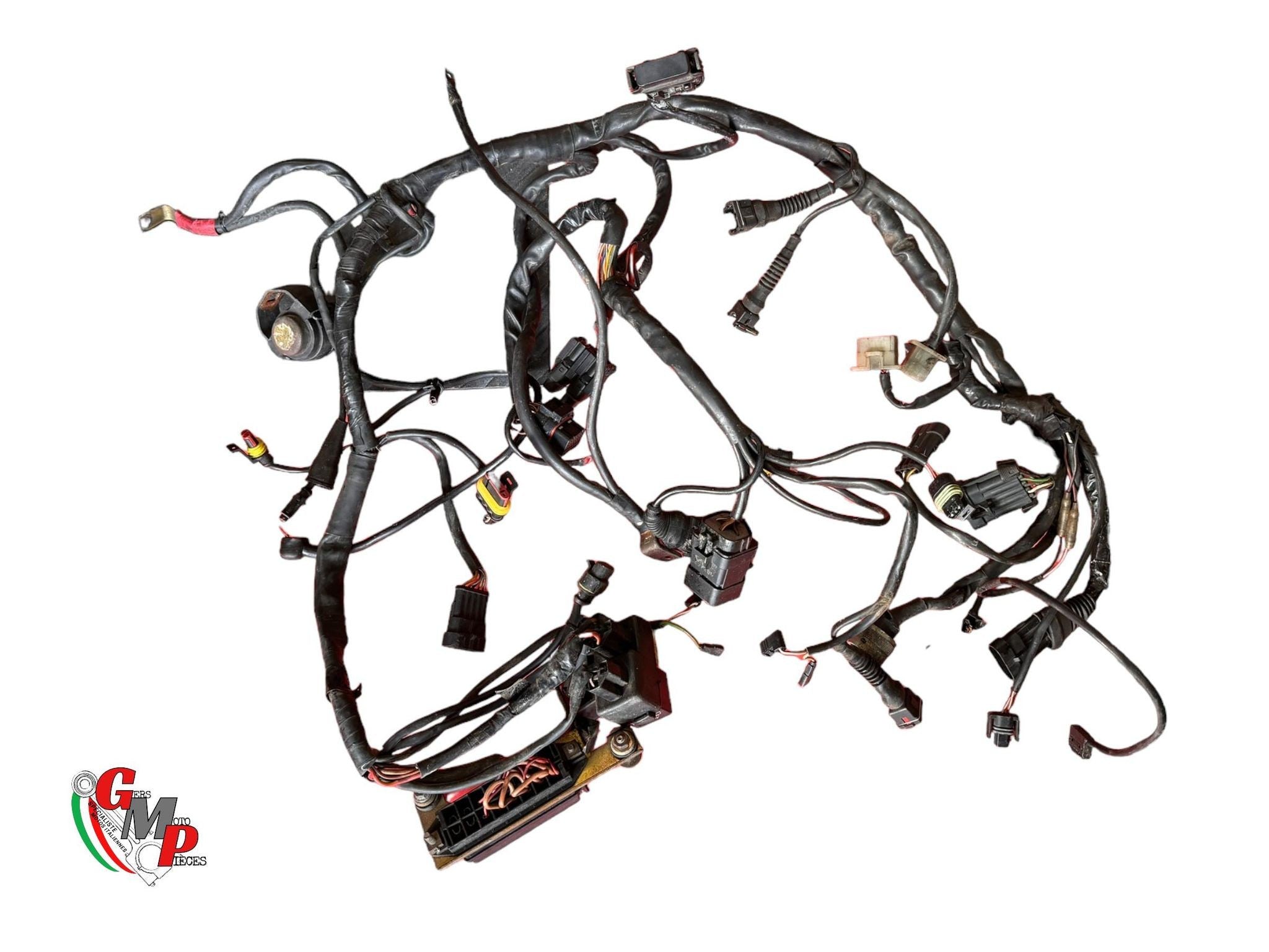 Arnés de cableado completo - Ducati