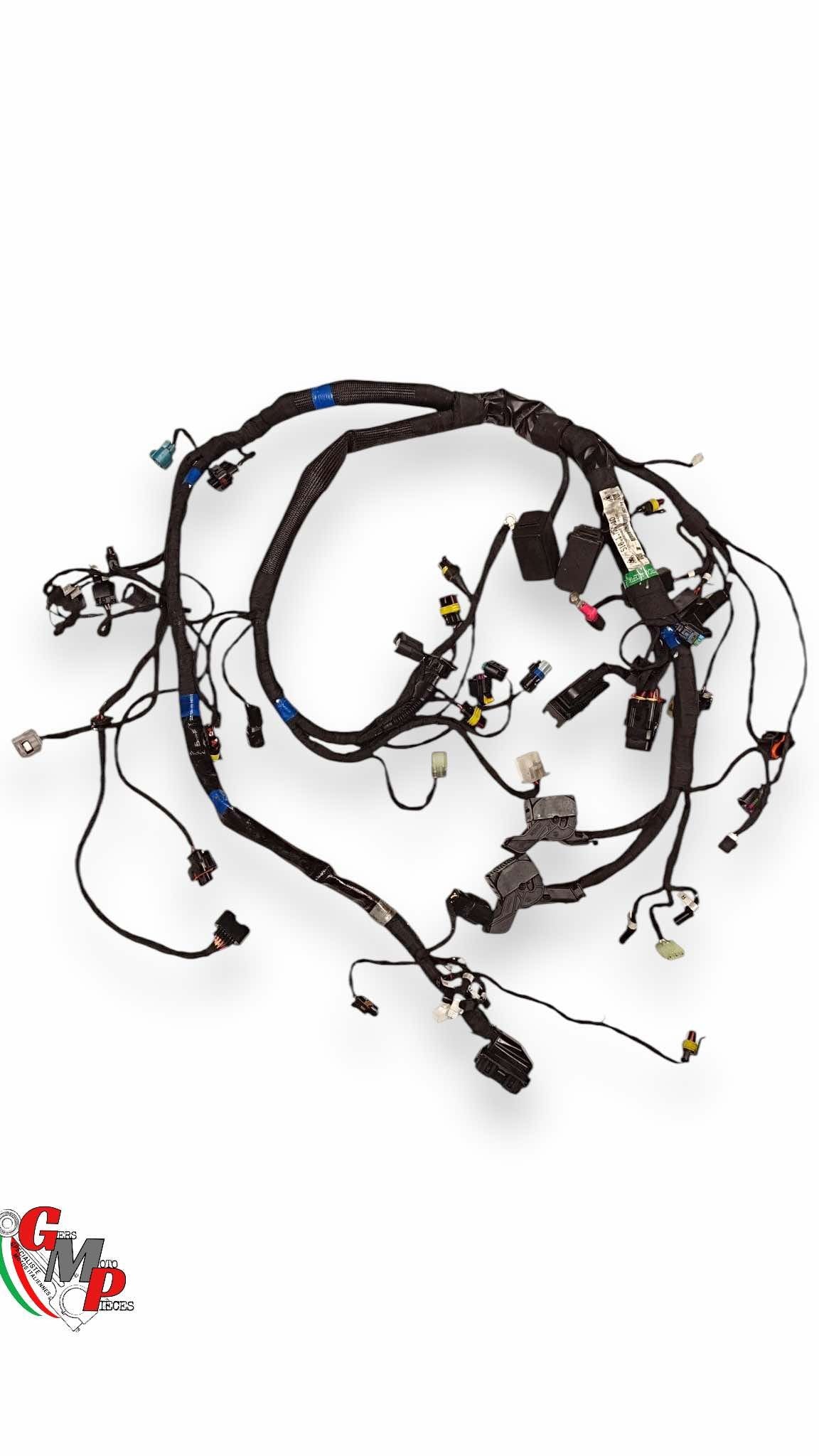 Arnés de cableado principal - Ducati
