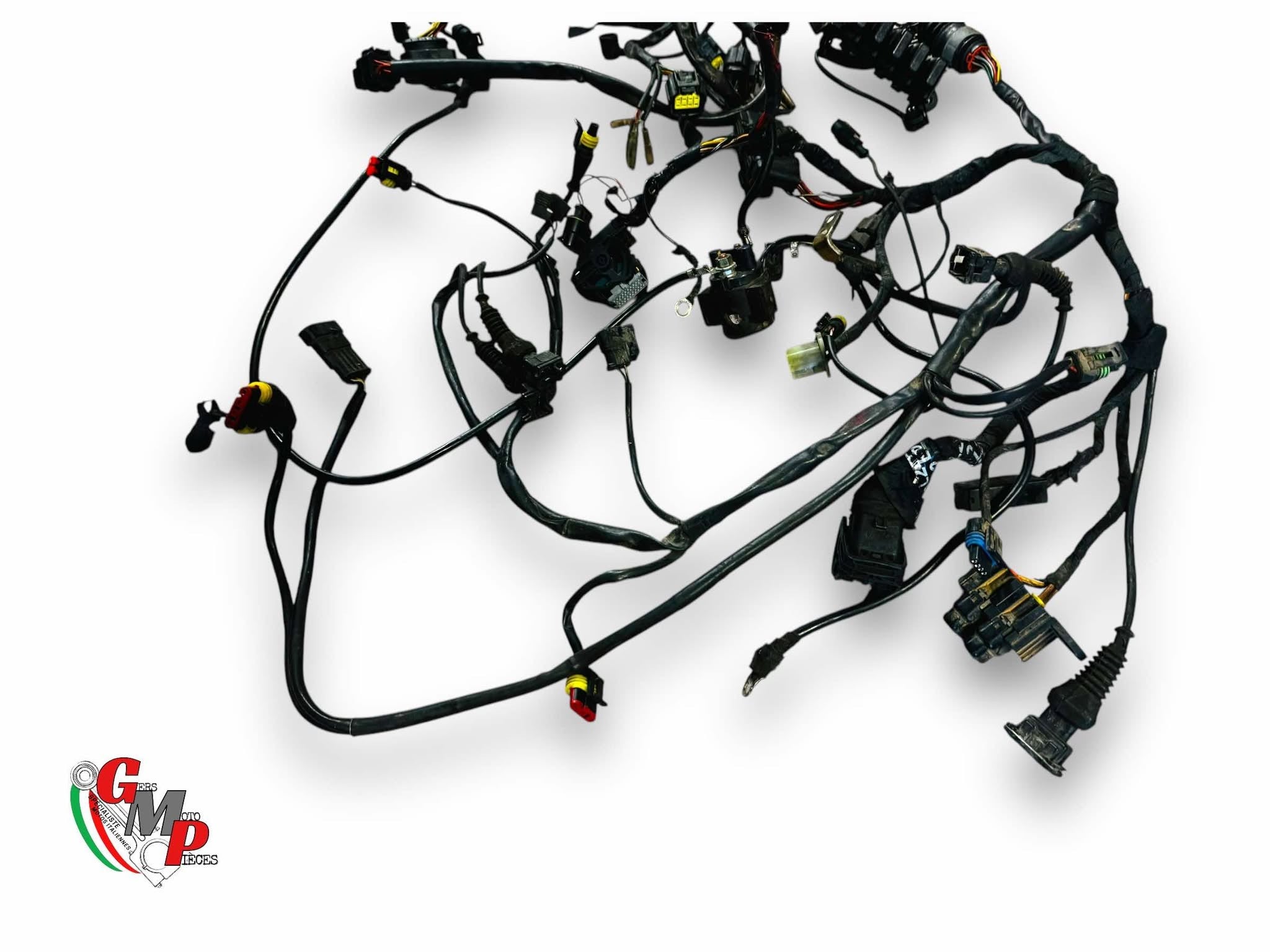 Arnés de cableado principal - Ducati