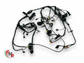 Arnés de cableado principal - Ducati