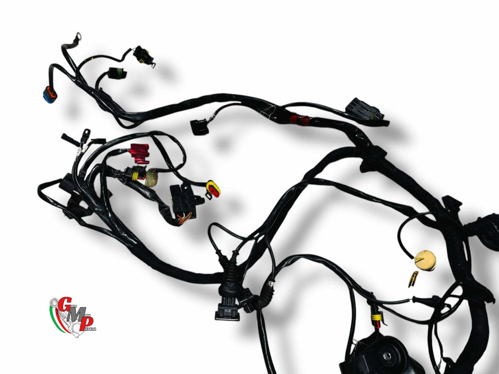 Arnés eléctrico - Ducati