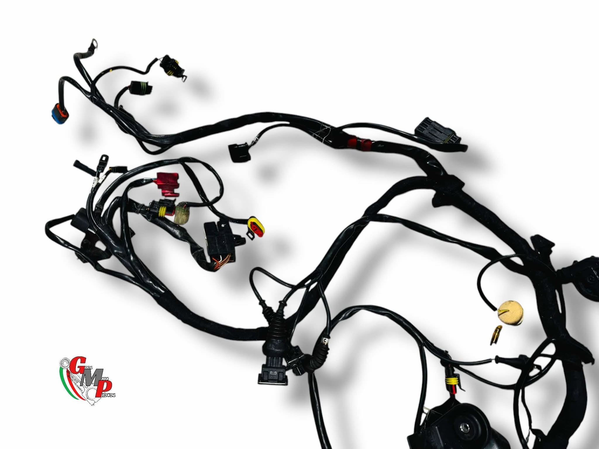 Arnés eléctrico - Ducati