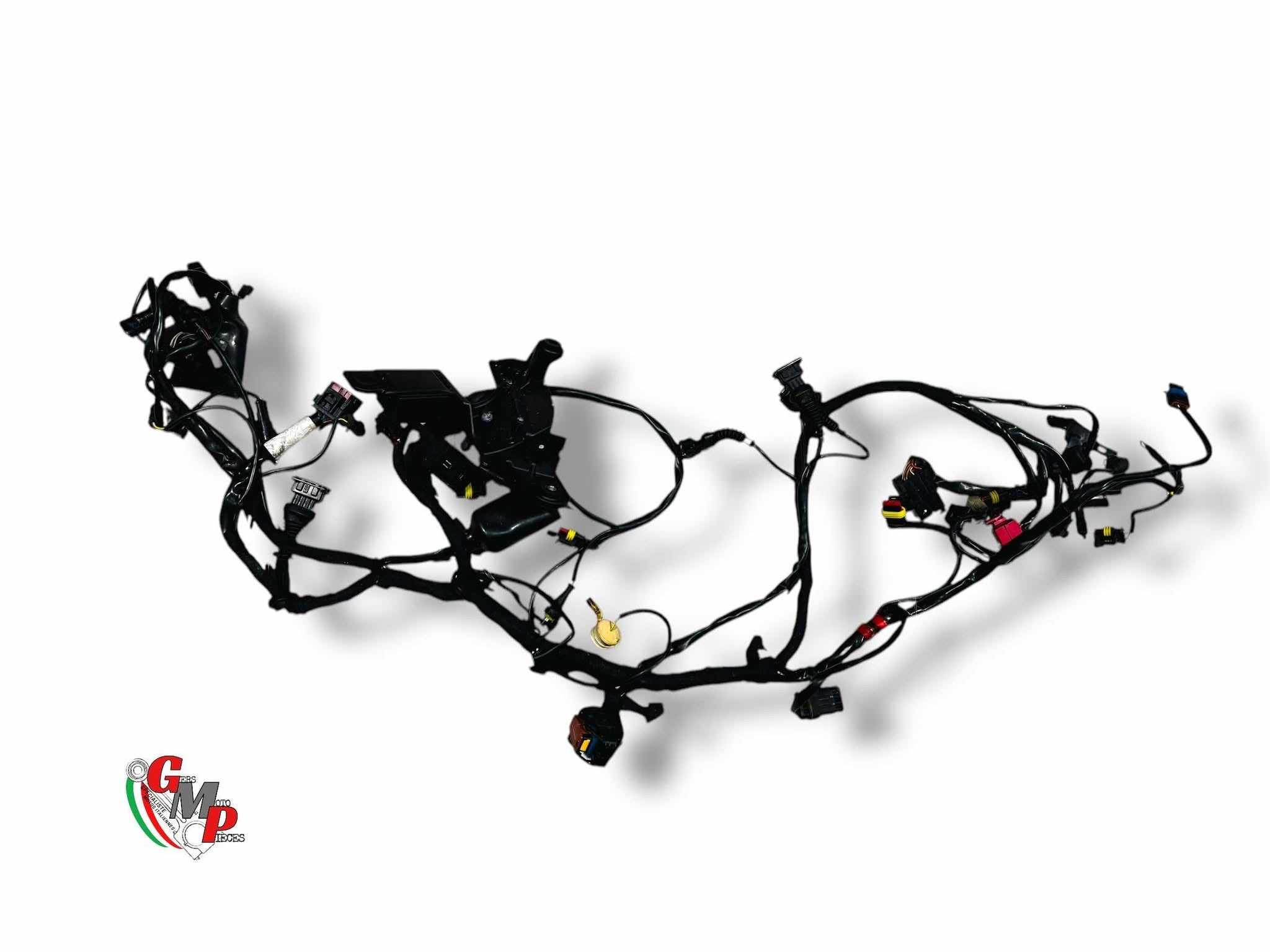Arnés eléctrico - Ducati