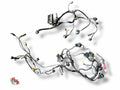 Arnés de cableado delantero y trasero completo - Ducati
