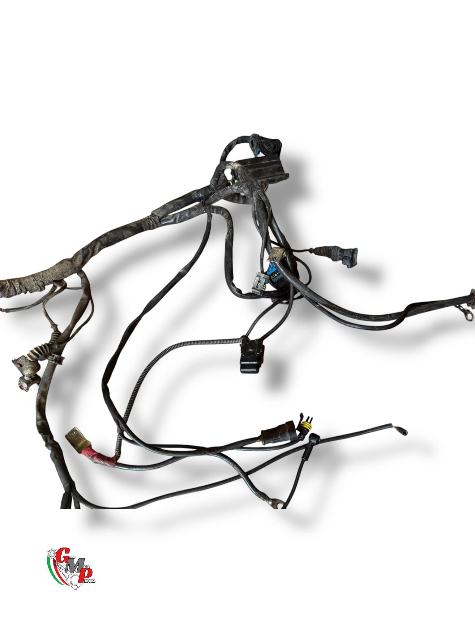 Arnés de cableado principal - Ducati