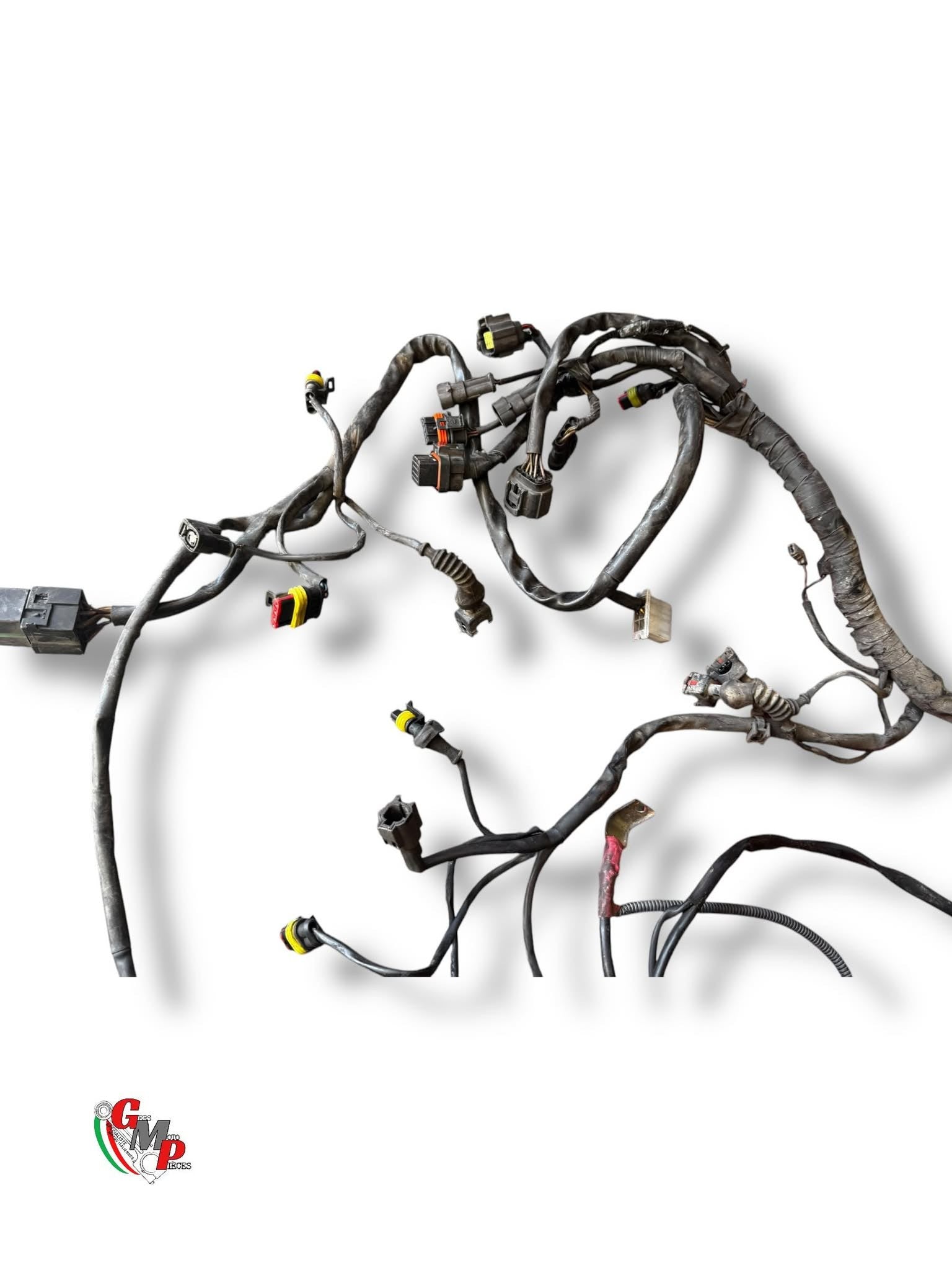 Arnés de cableado principal - Ducati