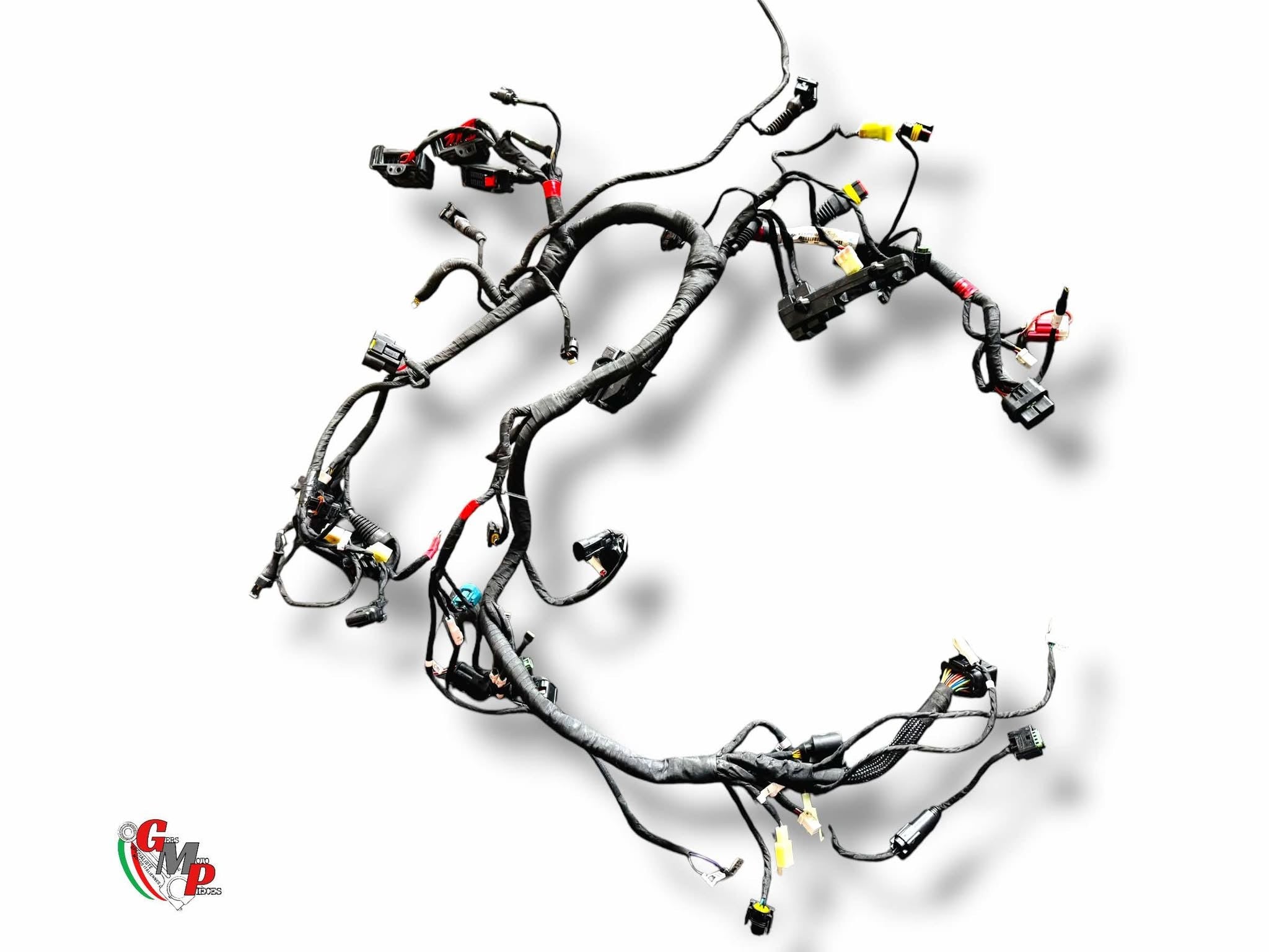 Arnés de cableado principal - Ducati