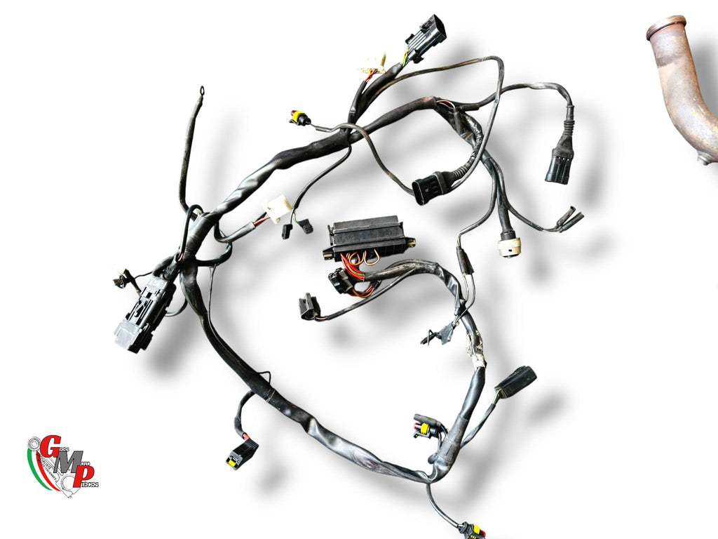 Arnés eléctrico - Ducati