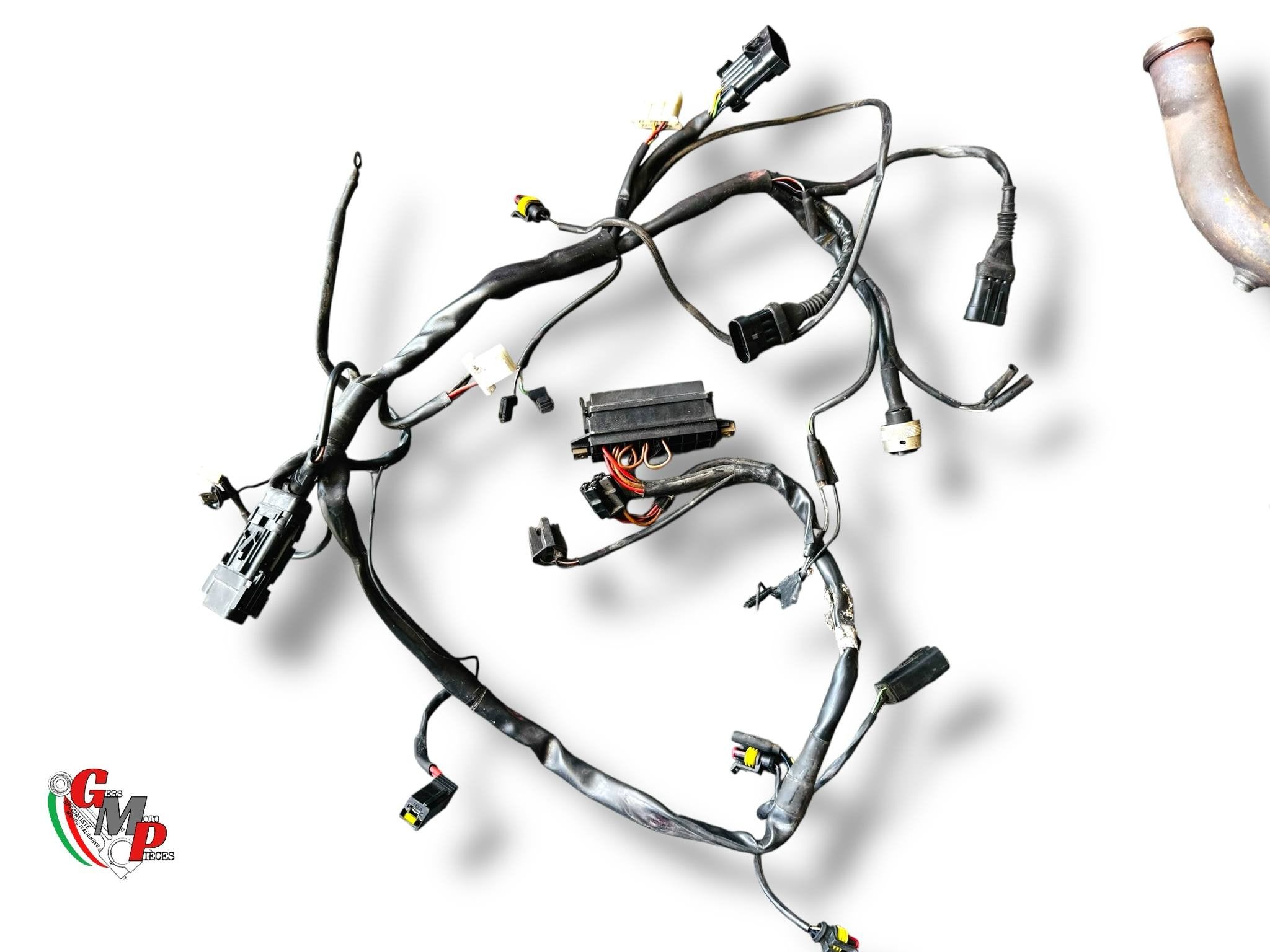 Arnés eléctrico - Ducati