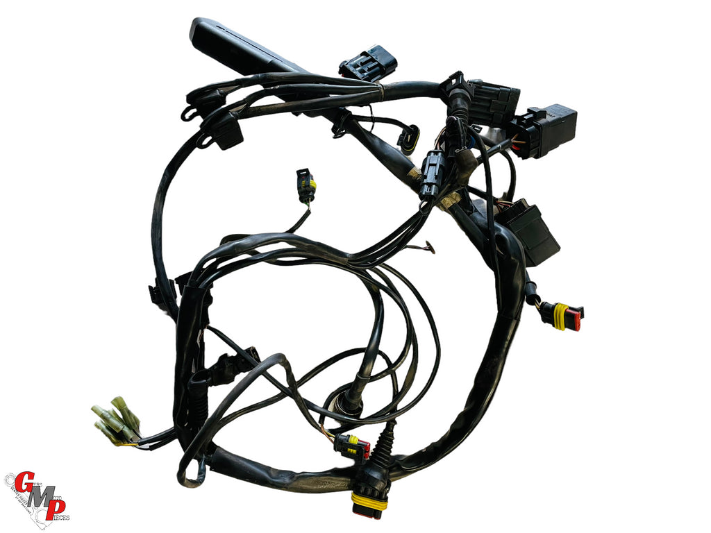 Arnés de cableado principal trasero - Ducati