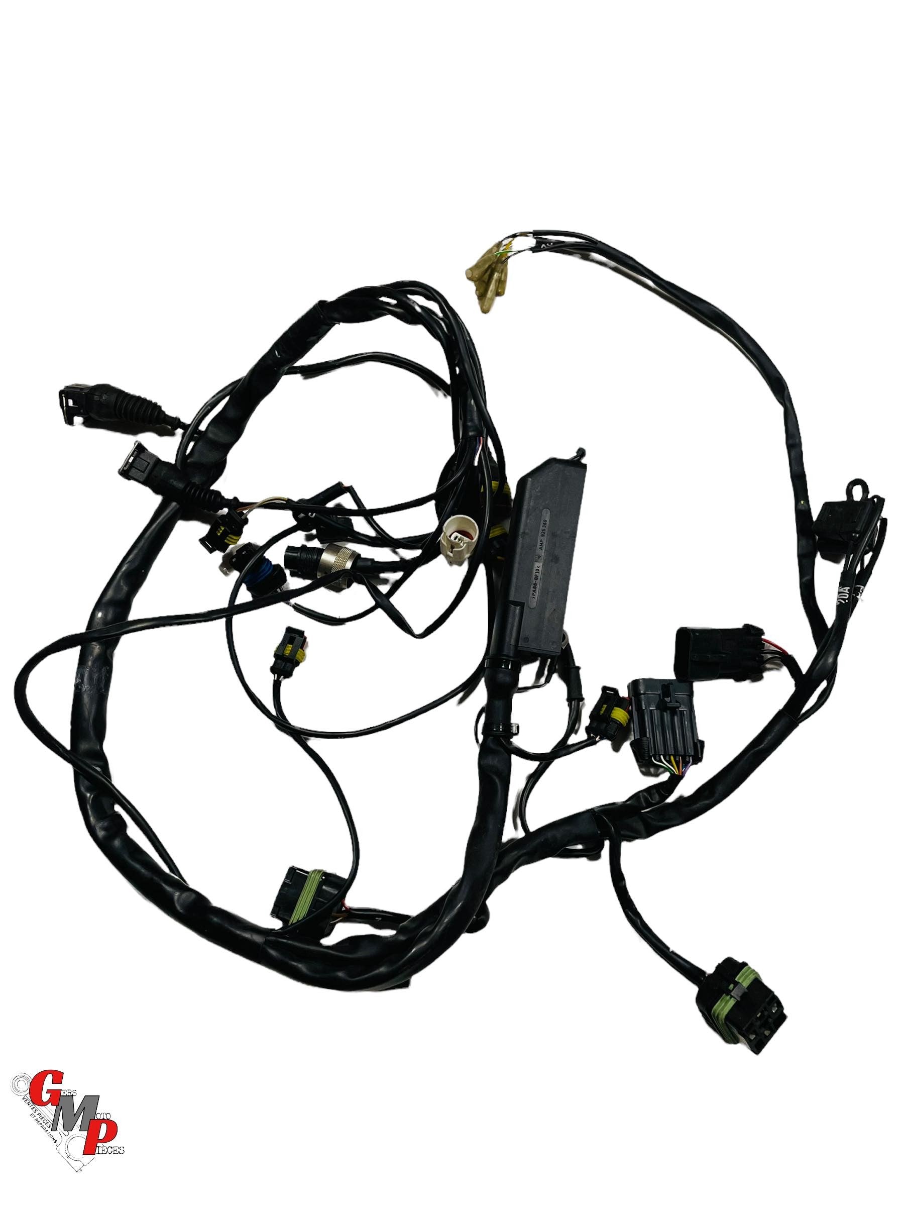 Arnés de cableado principal trasero - Ducati