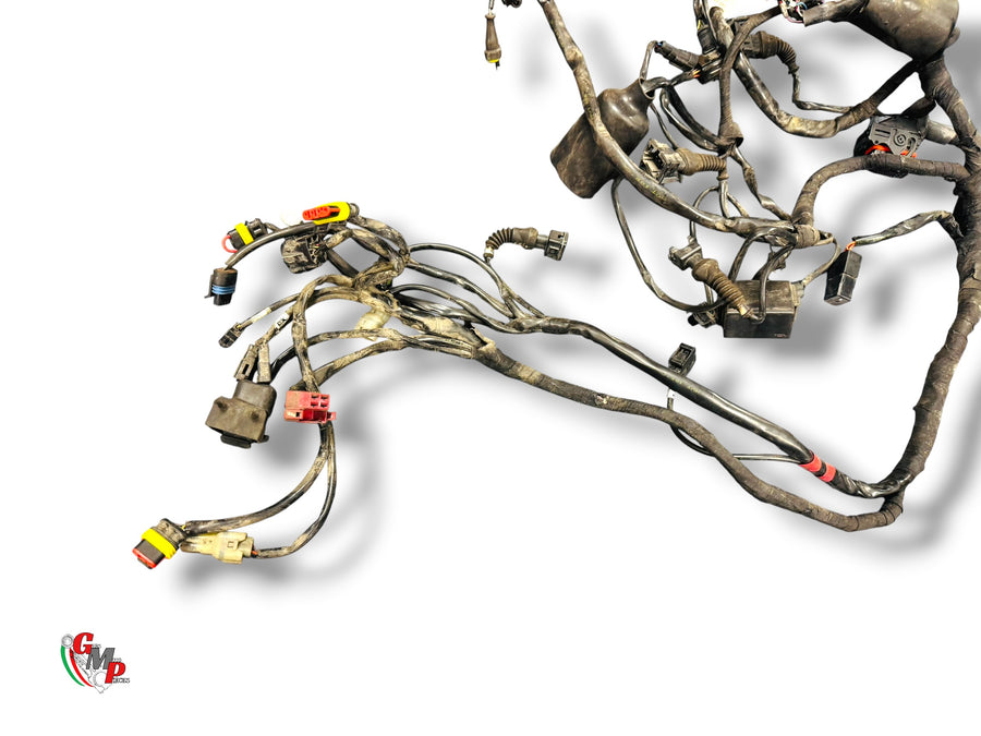 Mazo de Cables - Ducati