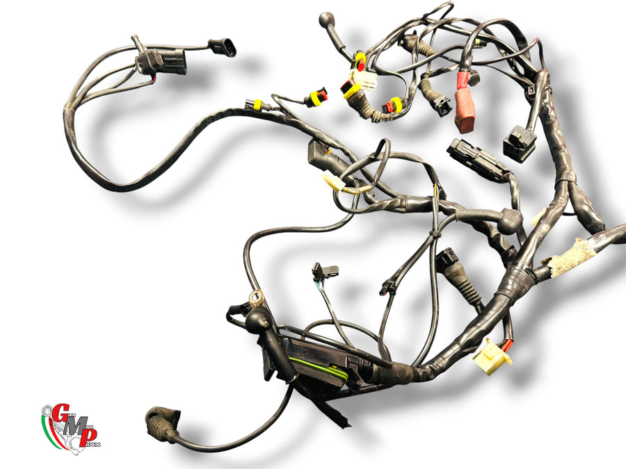 Mazo de cables principal - Ducati